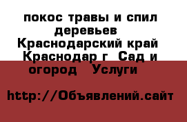 покос травы и спил деревьев - Краснодарский край, Краснодар г. Сад и огород » Услуги   